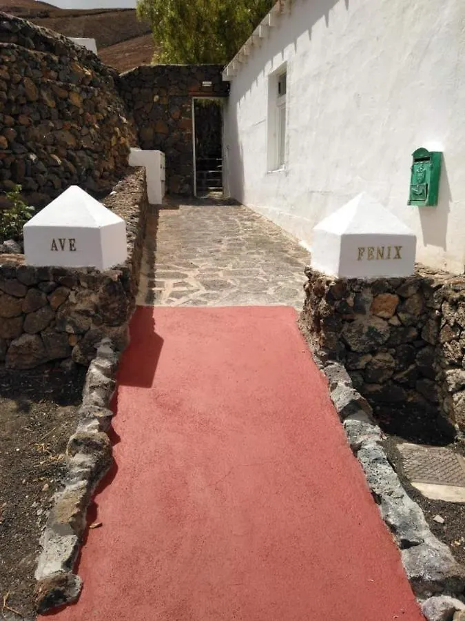 Centro Ave Fenix Villa Femés