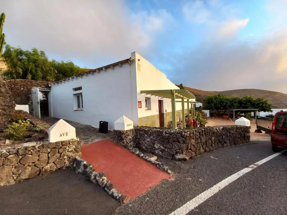 Centro Ave Fenix Villa Femes