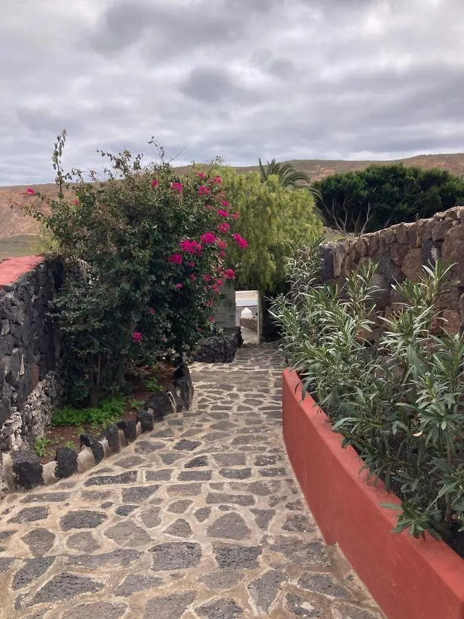 Centro Ave Fenix Villa Femes